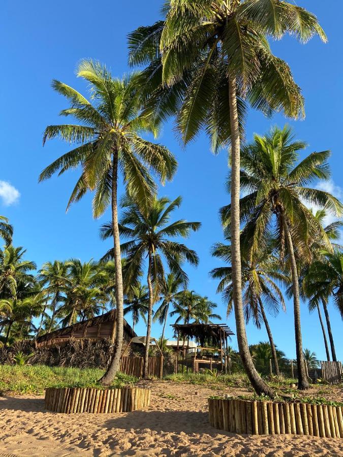 Bahia Surf Camp Hotel Abrantes Luaran gambar