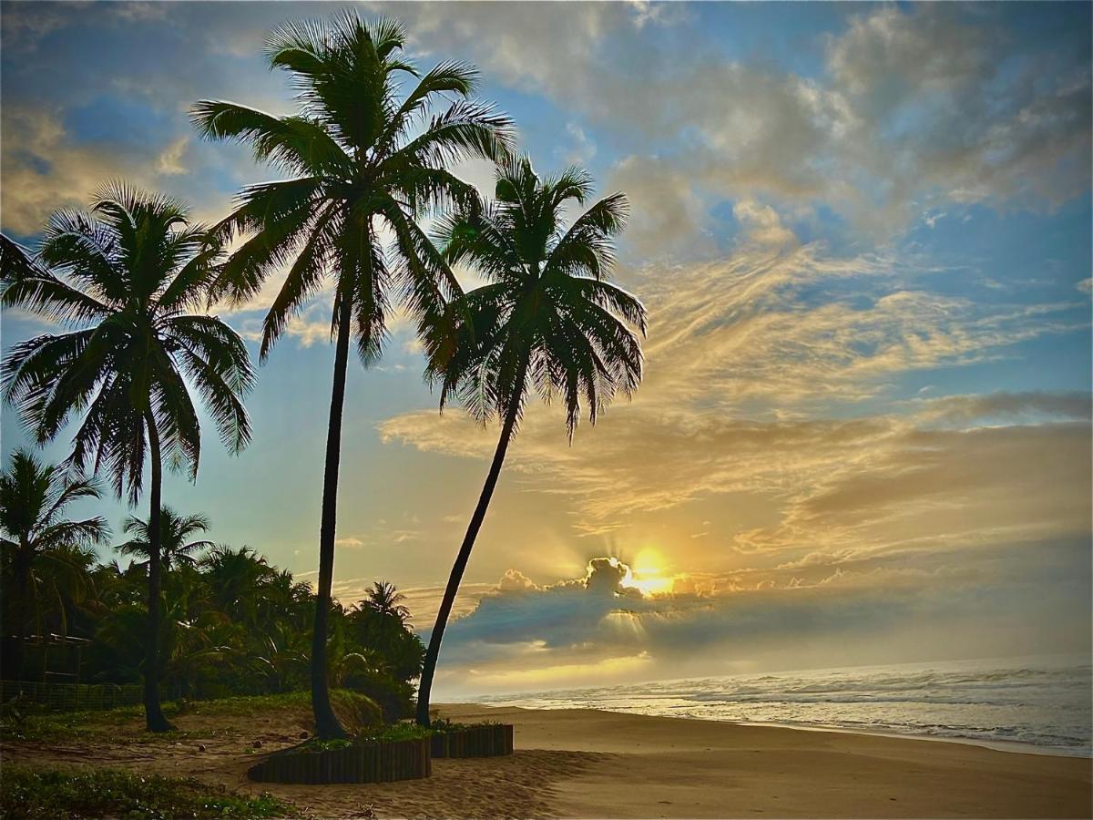 Bahia Surf Camp Hotel Abrantes Luaran gambar