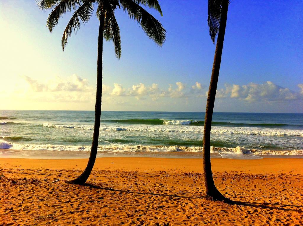 Bahia Surf Camp Hotel Abrantes Luaran gambar