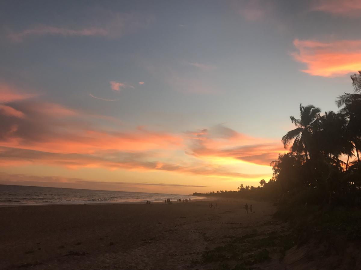 Bahia Surf Camp Hotel Abrantes Luaran gambar